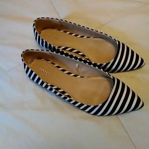 Express Flat Dress Shoes